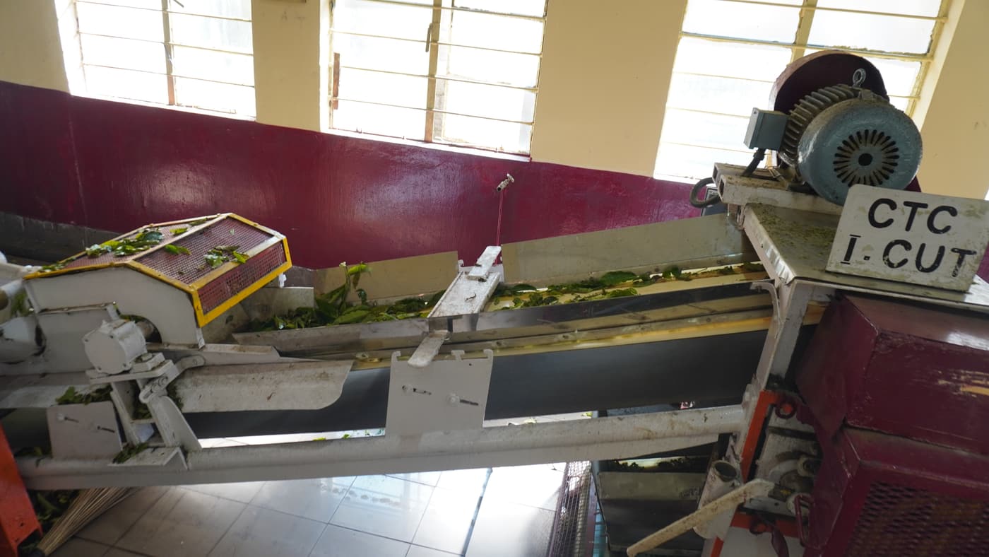 Tea-processing machinery on display at the Tea Museum in Munnar
