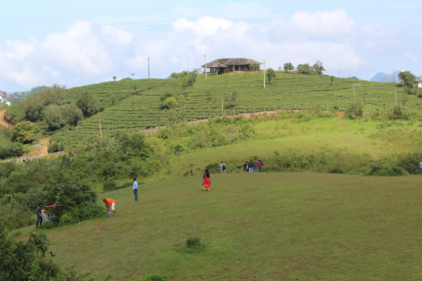 Visitors walking on the open green meadows of Vagamon with a tea garden behind
